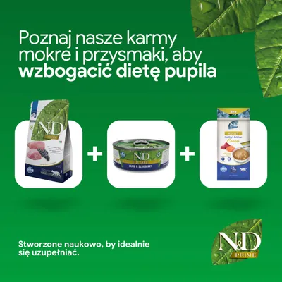 N&D Prime karma sucha, karma mokra Lamb & Blueberry oraz Adult Cream. Uzupełnij żywienie swojego pupila tymi produktami. Opracowane naukowo dla optymalnej kombinacji. N&D Prime karma sucha, karma mokra Lamb & Blueberry oraz Adult Cream. Uzupełnij żywienie swojego pupila tymi produktami. Opracowane naukowo dla optymalnej kombinacji.