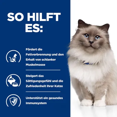 So hilft es: Fördert Fettverbrennung und schlanke Muskelmasse, steigert Sättigungsgefühl und Zufriedenheit der Katze, unterstützt gesundes Immunsystem. Katze abgebildet.