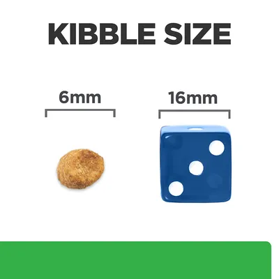 Kibble size comparison showing a 6mm kibble next to a 16mm blue dice for scale.