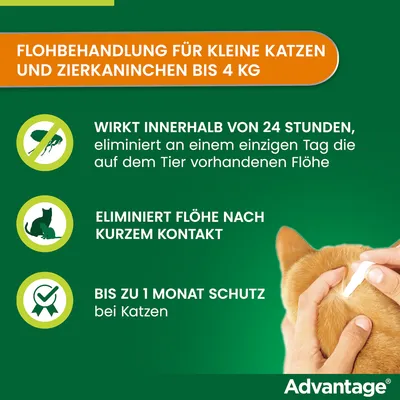 Flohbehandlung für kleine Katzen und Zierkaninchen bis 4 kg. Wirkt innerhalb von 24 Stunden, eliminiert Flöhe nach kurzem Kontakt, bietet bis zu 1 Monat Schutz bei Katzen.