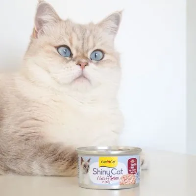 Voordeelpakket GimCat ShinyCat Jelly Kattenvoer 24 x 70 g