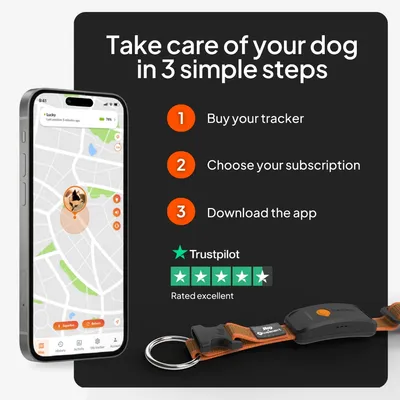 Weenect Pet GPS Tracker XT för hundar