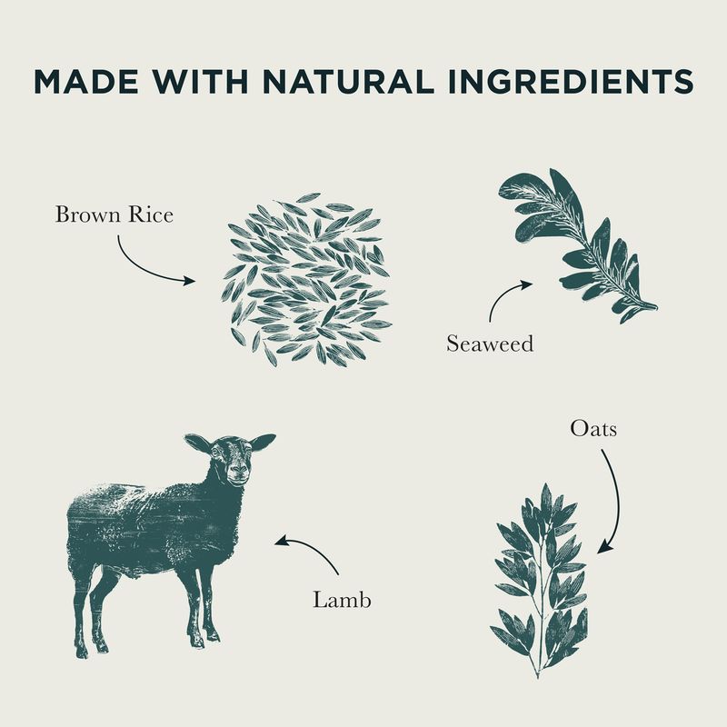 ​​​​​​​Burns Adult & Senior Original - Lamb & Brown Rice