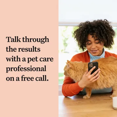 Talk through the results with a pet care professional on a free call.