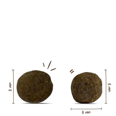 Zwei runde Futterstücke mit Maßangaben: jeweils 8 mm Durchmesser und 8 mm Höhe. Zwei runde Futterstücke mit Maßangaben: jeweils 8 mm Durchmesser und 8 mm Höhe.