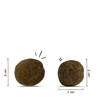 Zwei runde Futterstücke mit Maßangaben: jeweils 8 mm hoch, eines 7 mm breit.