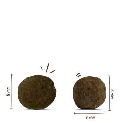Zwei runde Futterstücke mit Maßangaben: links 8 mm Durchmesser, rechts 7 mm Breite und 8 mm Höhe. Zwei runde Futterstücke mit Maßangaben: links 8 mm Durchmesser, rechts 7 mm Breite und 8 mm Höhe.