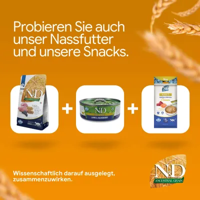 Probieren Sie auch unser Nassfutter und unsere Snacks. Drei N&D Produkte abgebildet: Trockenfutter, Nassfutter Lamb & Blueberry, Snack. Wissenschaftlich darauf ausgelegt, zusammenzuwirken.