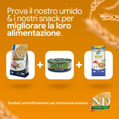 N&D Ancestral Grain crocchette, N&D Prime Lamb & Blueberry alimento umido e N&D adult cream snack. Sviluppato scientificamente per una nutrizione ottimale. N&D Ancestral Grain crocchette, N&D Prime Lamb & Blueberry alimento umido e N&D adult cream snack. Sviluppato scientificamente per una nutrizione ottimale.