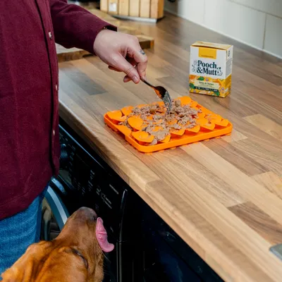 Pooch and Mutt Wet Dog Food - Turkey & Chicken