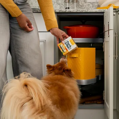 Pooch and Mutt Wet Dog Food - Chicken, Pea & Pumpkin