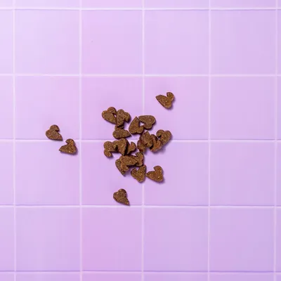 Pooch and Mutt Dental Meaty Treats 120g Pooch and Mutt Dental Meaty Treats 120g