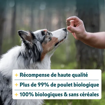 Récompense de haute qualité, plus de 99 % de poulet biologique, 100 % biologiques et sans céréales. Récompense de haute qualité, plus de 99 % de poulet biologique, 100 % biologiques et sans céréales.