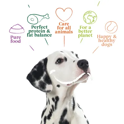 Image highlights product benefits: pure food, perfect protein and fat balance, care for all animals, for a better planet, happy and healthy dogs.
