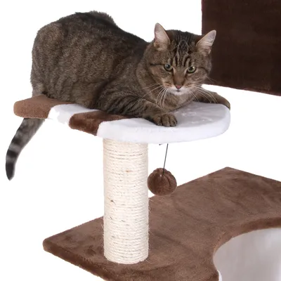 Gråstribet kat ligger på et kradsetræ med brun og hvid platform, sisalstamme og hængende plysbold. Basen er dækket af brunt stof.