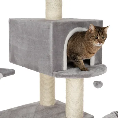 Grauer Kratzbaum mit Höhle, Sisalstämmen und Spielball. Katze sitzt in der Höhle und schaut heraus.