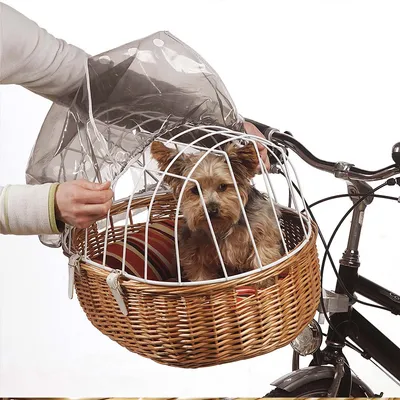 Cestino in vimini per bicicletta con griglia metallica e copertura trasparente, montato sul manubrio, contiene un piccolo cane seduto su cuscino a righe.