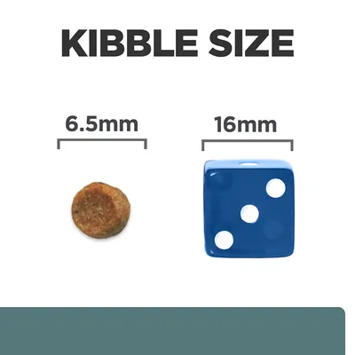 Kibble Size felirat, balra 6,5 mm-es táp szemcse, jobbra 16 mm-es kék dobókocka méret-összehasonlításként.