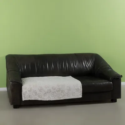 Svart lädersoffa med vit filt med tassmönster på sitsen. Bakgrund: grön vägg.