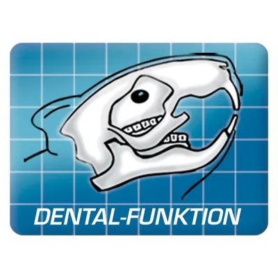 Illustratie van een knaagdierkaak met tanden, tekst: DENTAL-FUNKTION (Duits).