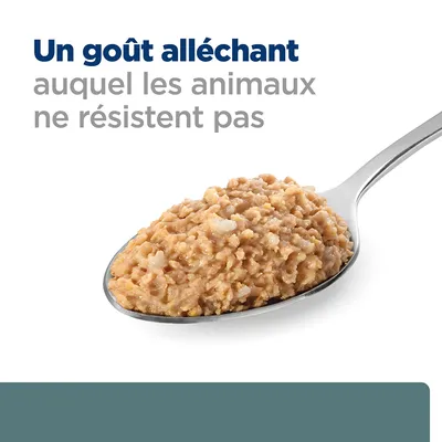 Texte : Un goût alléchant auquel les animaux ne résistent pas. Cuillère contenant de la pâtée pour animaux.