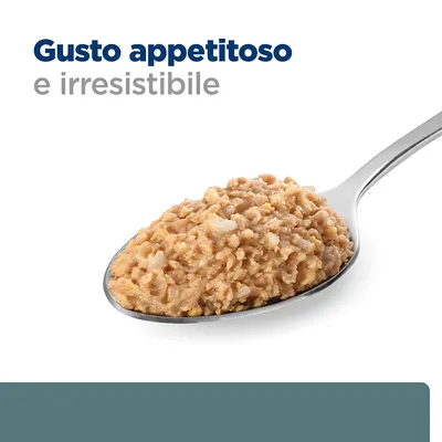 Testo visibile: Gusto appetitoso e irresistibile. Cucchiaio con alimento umido per animali, consistenza a pezzetti.