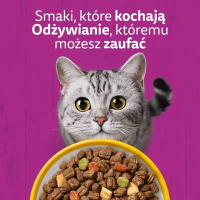Whiskas 1+ z kurczakiem