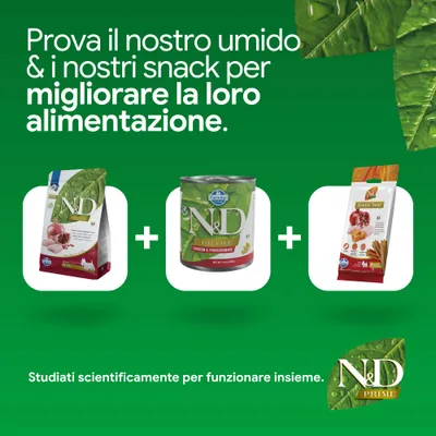 N&D Prime crocchette, alimento umido e snack dental Treat. Sviluppato scientificamente per una nutrizione migliorata. N&D Prime crocchette, alimento umido e snack dental Treat. Sviluppato scientificamente per una nutrizione migliorata.