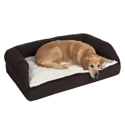 Hund liegt auf einem braunen Hundebett mit weisser Liegefläche und gepolsterten Seiten.
