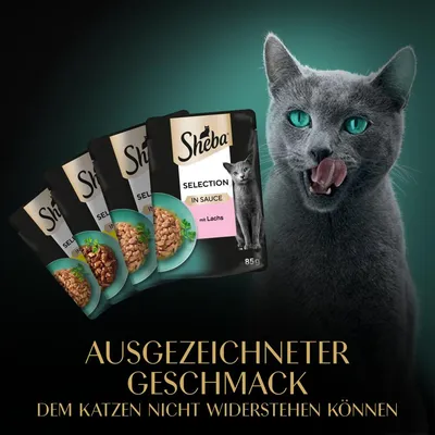 Sheba Selection in Sauce mit Lachs 85 g, texte en allemand : Ausgezeichneter Geschmack dem Katzen nicht widerstehen können. Quatre sachets et un chat gris visibles.
