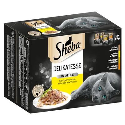 Sheba Delikatesse in Gelee, Sélection à la Volaille : canard, poulet, volaille, dinde. 12x85g. Image d’un chat gris et d’une assiette de nourriture en gelée visibles sur l’emballage.