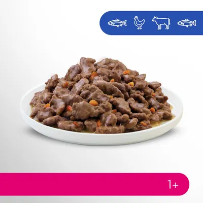 Kulho lihapaloilla kastikkeessa, sopii yli 1-vuotiaille kissoille. Näkyvissä kalan, kanan ja naudan symbolit ainesosina.