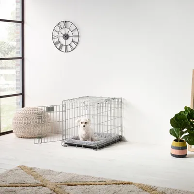 Metall-Hundebox mit offener Tür, innen ein graues Kissen. Ein kleiner weisser Hund sitzt in der Box. Umgebung: heller Raum mit Teppich, Pflanze und Wanduhr.