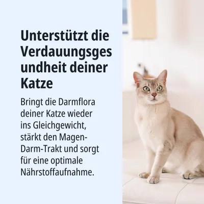 Unterstützt die Verdauungsgesundheit deiner Katze. Bringt die Darmflora ins Gleichgewicht, stärkt den Magen-Darm-Trakt und sorgt für optimale Nährstoffaufnahme.