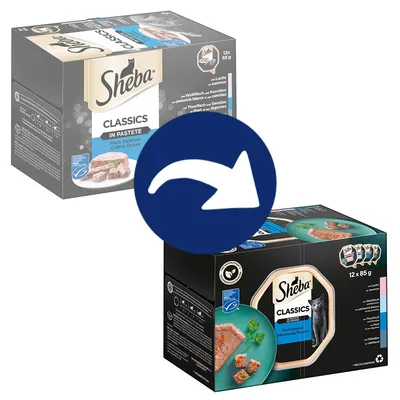 Sheba Classics in Pastete Fish Variation, 12x85g. Opakowanie z: łosoś, biała ryba i marchew, tuńczyk i warzywa. Nadaje się do recyklingu, certyfikat MSC.