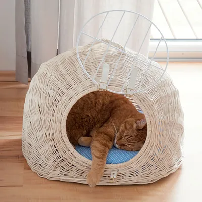 Round cat basket made of white rattan with metal grid on top, padded blue lying surface. Cat sleeping inside the basket.
