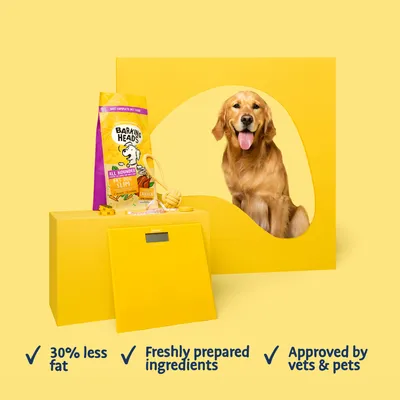 Pet food with 30% less fat, freshly prepared ingredients, and approved by vets and pets. Product packaging, measuring tape, toy, and a dog are shown.