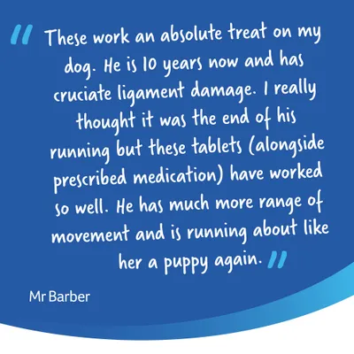 YuMOVE Cuidado Articular para Perros Senior