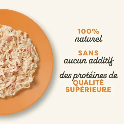 Paquet économique Applaws Cat Natural au bouillon 24 x 70 g