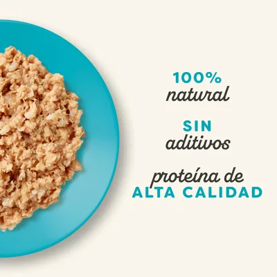 Applaws Natural Kitten en caldo 48 x 50 g - Pack ahorro