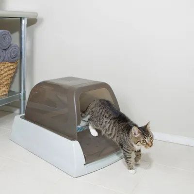 Cat exiting an enclosed litter box, demonstrating product use and entryway size.