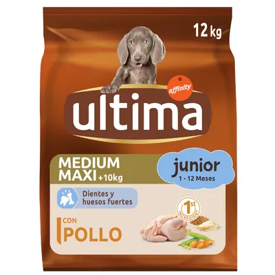 Sac de croquettes Ultima Medium Maxi +10 kg junior 1–12 mois, 12 kg, con pollo, Dientes y huesos fuertes, image de poulet et légumes, marque affinity visible.