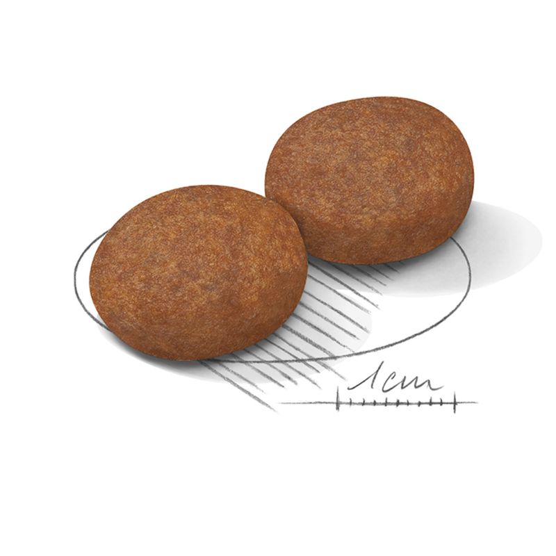 Royal Canin Medium Adult 7+