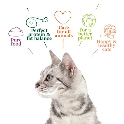 Pure food, perfect protein and fat balance, care for all animals, for a better planet, happy and healthy cats. Text with icons above a cat image.