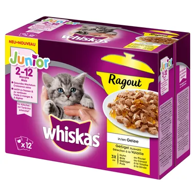 Whiskas Junior Ragout u želeu, za mačiće 2–12 mjeseci, pakiranje od 12 vrećica, perad: piletina, patka, puretina. Slika mačića i tanjura s komadićima hrane.