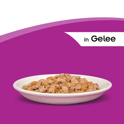 Porcija komadića mesa u želeu na bijelom tanjuru, tekst 'in Gelee' vidljiv na slici.