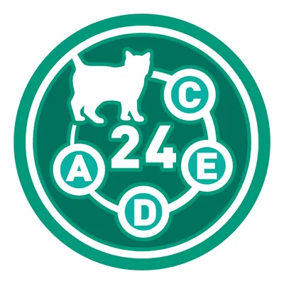Ikona s bielou siluetou mačky, číslom 24 a písmenami A, C, D, E v kruhoch na zelenom pozadí.