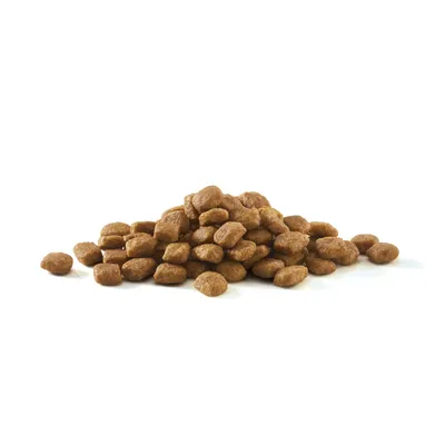 Pile of brown dry pet food kibble pieces on a white background. No visible brand or packaging.
