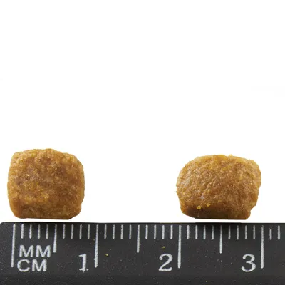 Two brown kibble pieces beside a black ruler showing size in centimetres and millimetres, each piece about 1.5 cm wide.