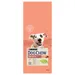 PURINA Dog Chow Adult Sensitive Salmon